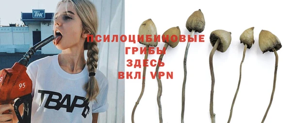 мет Россошь
