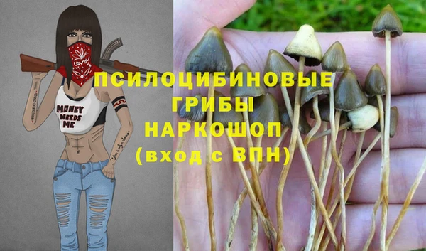 герыч Арсеньев