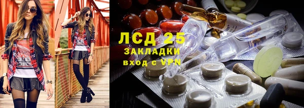 твердый Аркадак