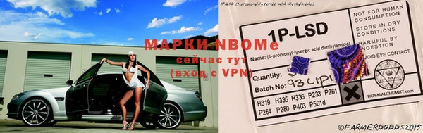 твердый Аркадак