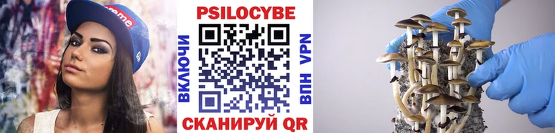 где купить наркоту  Игарка  Псилоцибиновые грибы Psilocybe 